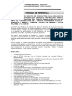 Términos de Referencia: Gobierno Regional Ayacucho Oficina Subregional de Victor Fajardo