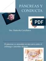 Páncreas y Conducta