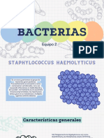 BACTERIOLOGÍA