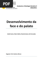 Desenvolvimento da face e do palato