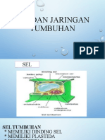 Sel Dan Jaringan Tumbuhan