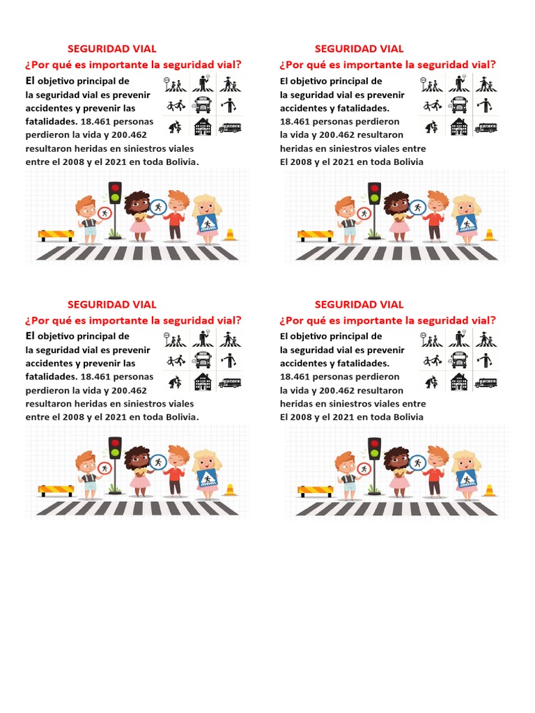 Importancia de la Seguridad Vial en Bolivia | PDF | Negocios
