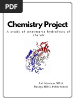 Chemistry Project