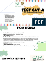 Test Cat-A