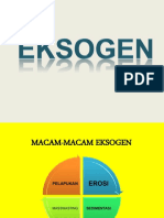 EKSOGEN