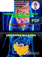 Fisiologia Digestiva Ii