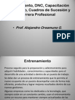 Entrenamiento, DNC, Capacitación y Desarrollo, Cuadros de Sucesión y Carrera Profesional