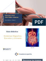 GD2-Anatomía Humana