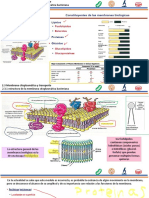 Material Clase