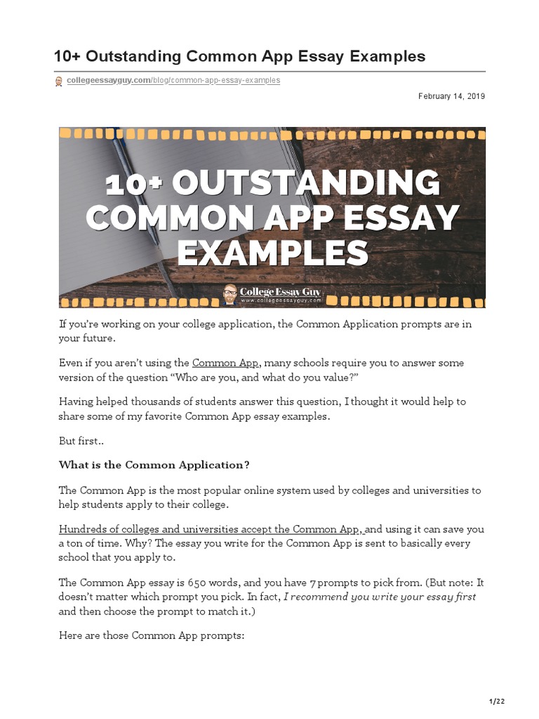 10 Outstanding Common App Essay Examples Download Free PDF Cosmetics The Daily Show