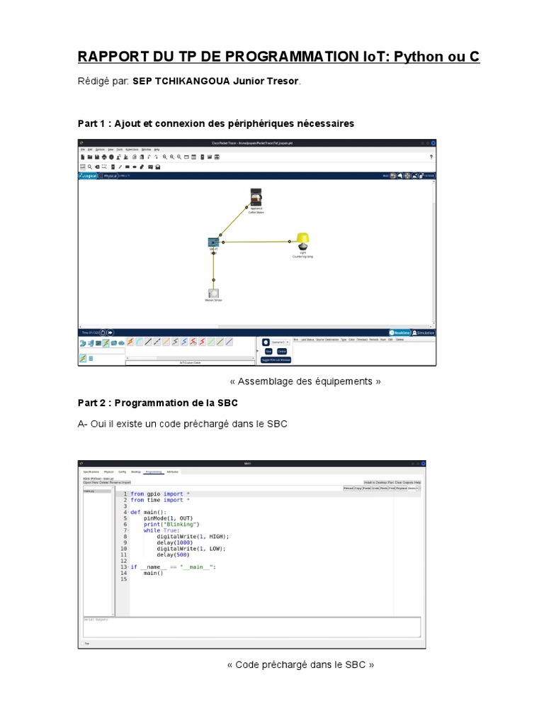 Rapport TP Programmation IoT: Python vs C | PDF