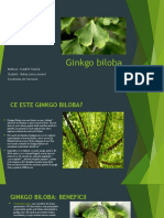 Ginkgo Biloba BLL