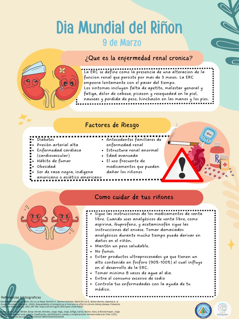 Dia Mundial Del Riñon | PDF | Enfermedad renal crónica | Especialidades ...