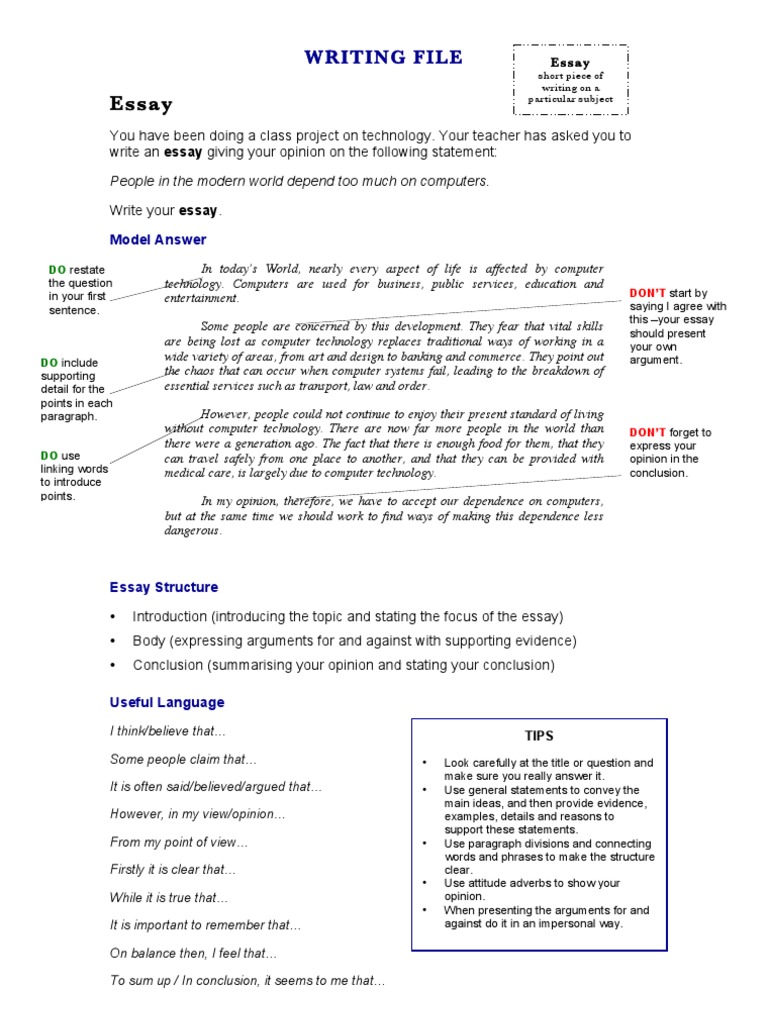 Essay Writing Tips and Structure | PDF | Essays | Ellipsis