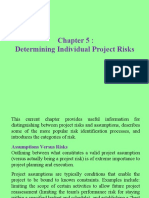 Determining Individual Project Risks