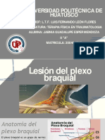 Lesión de Plexo Braquial