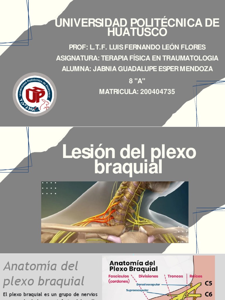 Lesión De Plexo Braquial Pdf Nervio Electromiografia