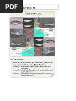Types of Fishing Gear in the Philippines | PDF | Trawling | Fish