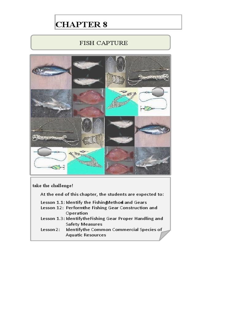 Fishing Methods and Gear Overview | PDF | Trawling | Angling
