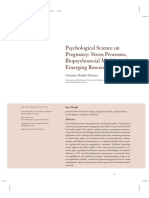 Psychological Science On Pregnancy: Stress Processes, Biopsychosocial Models, and Emerging Research Issues