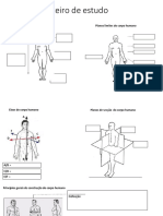 Posições anatômicas e planos do corpo humano