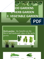 Herb Garden and Vegetable Garden and Tools