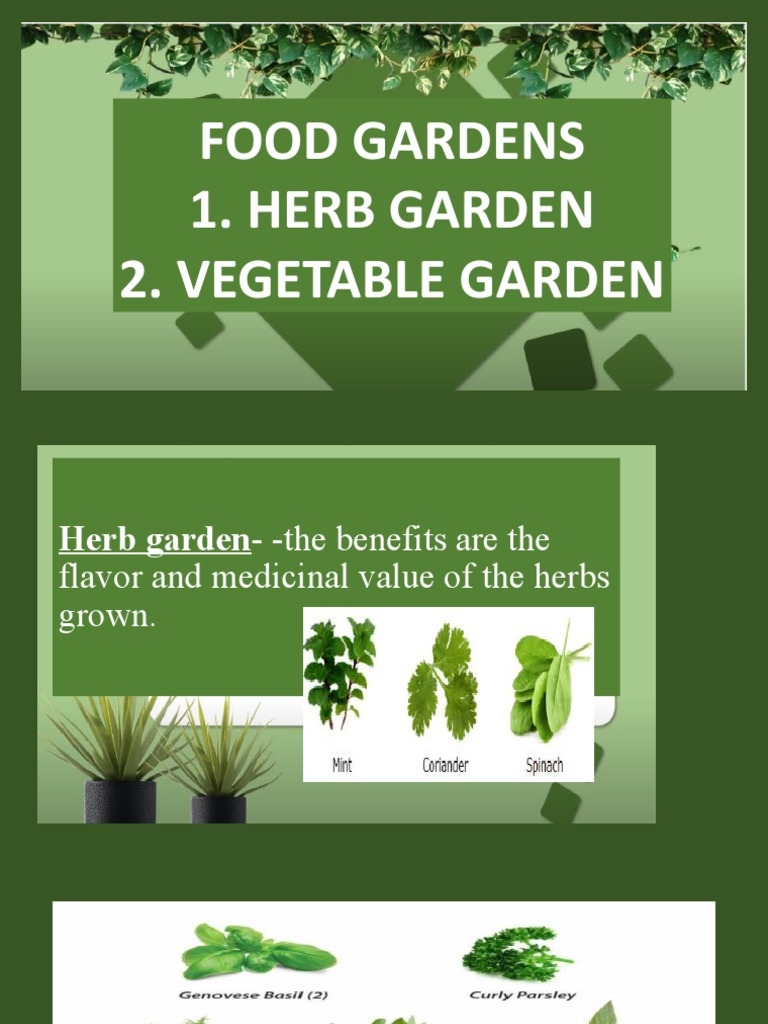 Herb Garden and Vegetable Garden and Tools | PDF | Home & Garden