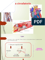 Sistema Circulatorio