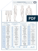 Programa de Fisioterapia Formato de Observación Sistemática de La Alineación Corporal Fosac