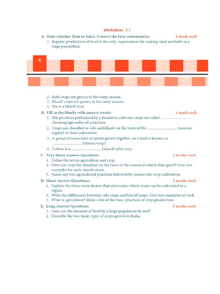 Worksheet 1.1 | PDF