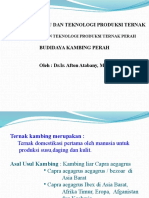 Bagian Ilmu Dan Teknologi Produksi Ternak Perah