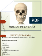 Osteología Cara