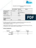 Resumen Gastos y Beneficios Pulseras