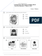 Evaluación Diagnóstica Oas Imprescindibles (Nivel 1) Ciencias Naturales 1º Básico 2023