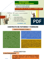 Trabajo Encargado Contrato de Futuro y Forward Grupo N 01