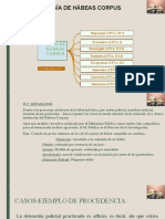 Tipos y Temas de H Corpus