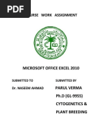 Microsoft Office Excel 2010