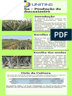 Cartilha - Produção Do Abacaxizeiro - Lucas e Mario
