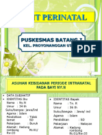 Audit Perinatal