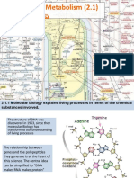 IB Diploma Biology