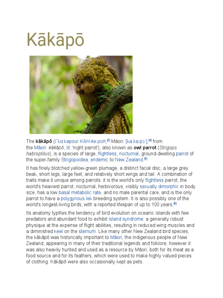 Birds Dictionary PDF Birds Ornithology