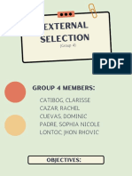 Group 4 - External Selection