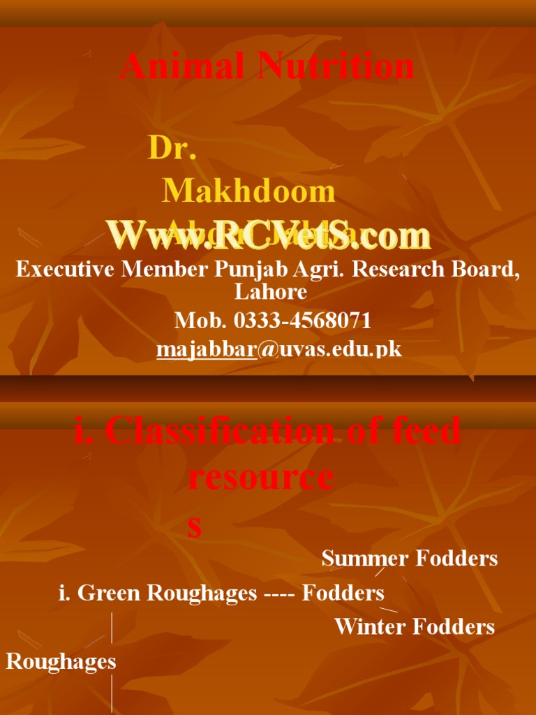 Dairy Feeding Management PDF Dairy Cattle Flour