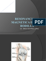 Rmi Rodilla Bermejo