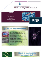 Formas de Vida de Las Arqueobacterias