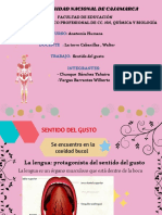 Universidad Nacional de Cajamarca: Curso Docente: Trabajo