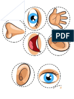 Actividades Los 5 Sentidos