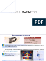 Campul Magnetic