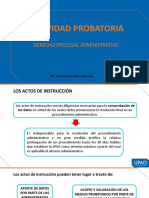 Actividad Probatoria: Derecho Procesal Administrativo