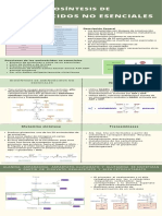 Biosíntesis de Aminoácidos No Esenciales